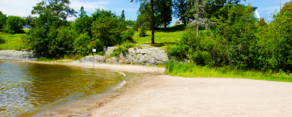 Summertime, beach, lake, blue sky, green grass, trees